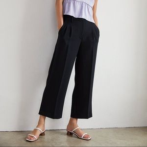 Aritzia Wilfred Trousers - Size S